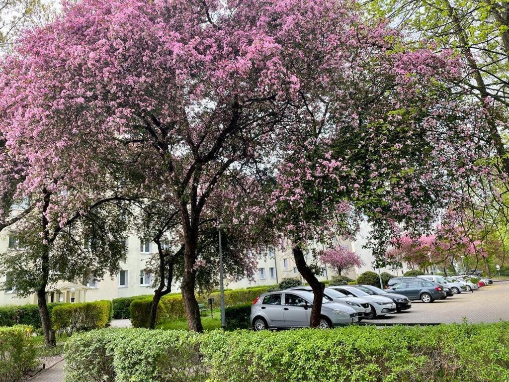Apartament Rataja50 Olsztyn  Luaran gambar